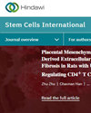 Stem Cells International期刊封面